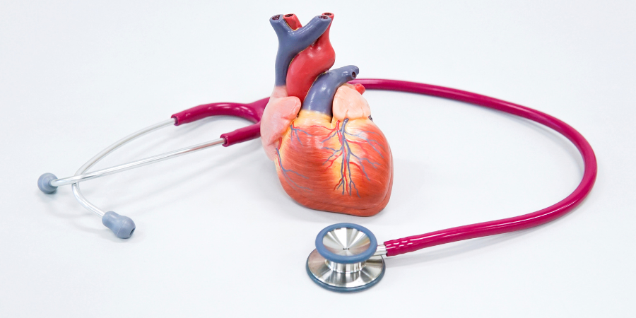 Heart Attack Vs Cardiac Arrest What's The Difference