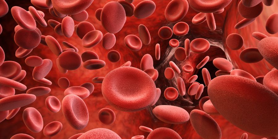 Diagnostic Centre in Lucknow