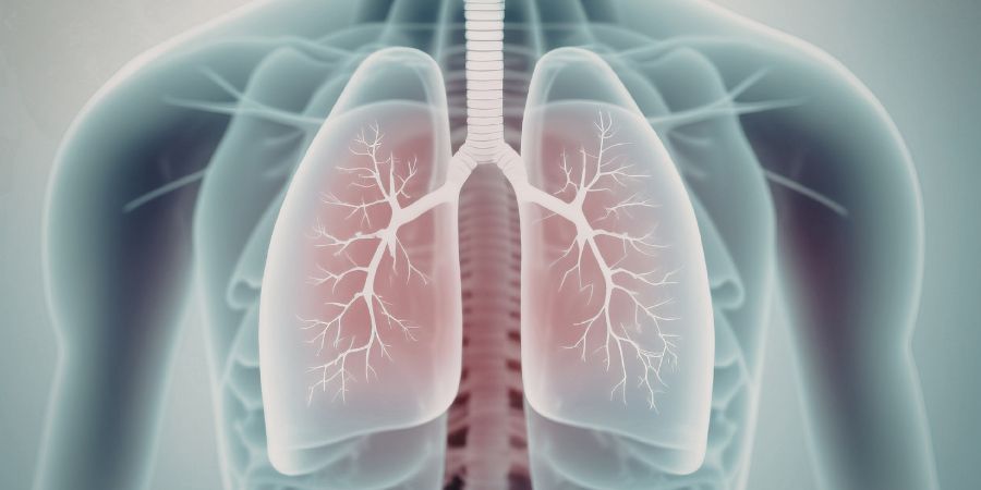 Chandan diagonstic Centre